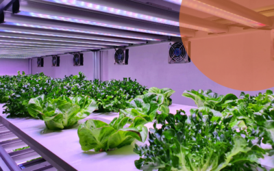 La Revolución de la Agricultura Vertical: Transformando el Cultivo de Alimentos