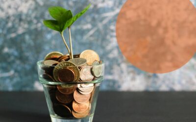 Arranca el 2026 con más tranquilidad y prepárate para la cuesta de enero ahorrando con e-Savings