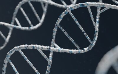 Innovación genética para asegurar la alimentación global