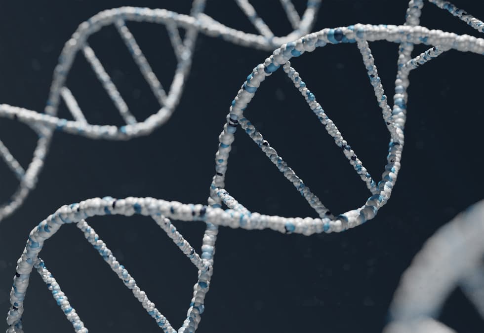 Innovaci&oacute;n gen&eacute;tica para asegurar la alimentaci&oacute;n global