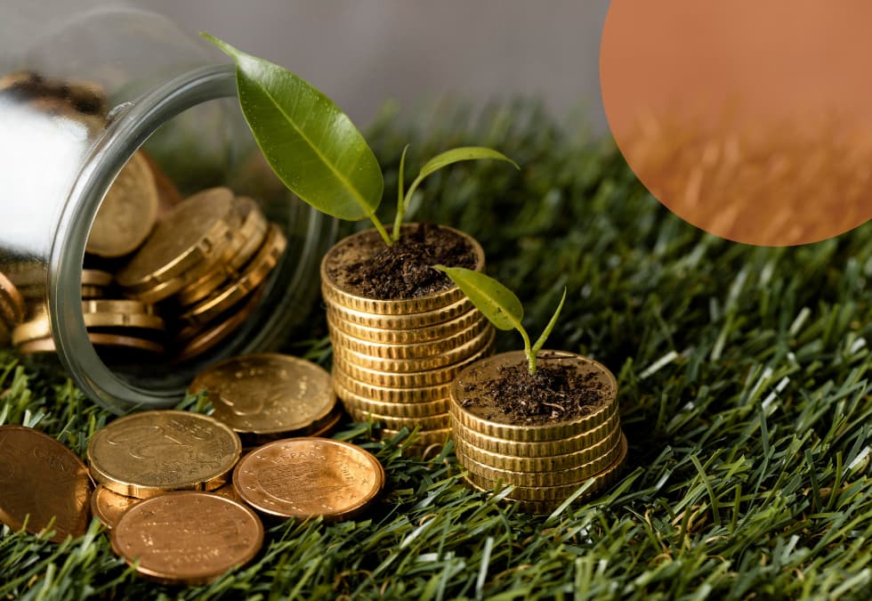 La importancia de la transparencia para una banca m&aacute;s sostenible