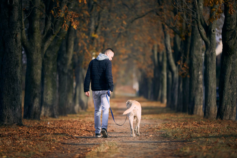 &iquest;Cu&aacute;nto cuesta realmente tener una mascota? As&iacute; impacta en tus finanzas mes a mes